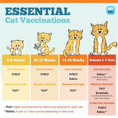 Printable Cat Vaccination Chart